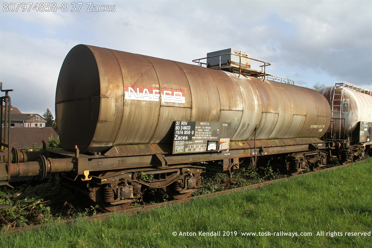 807974858-8_37 Zaces.JPG